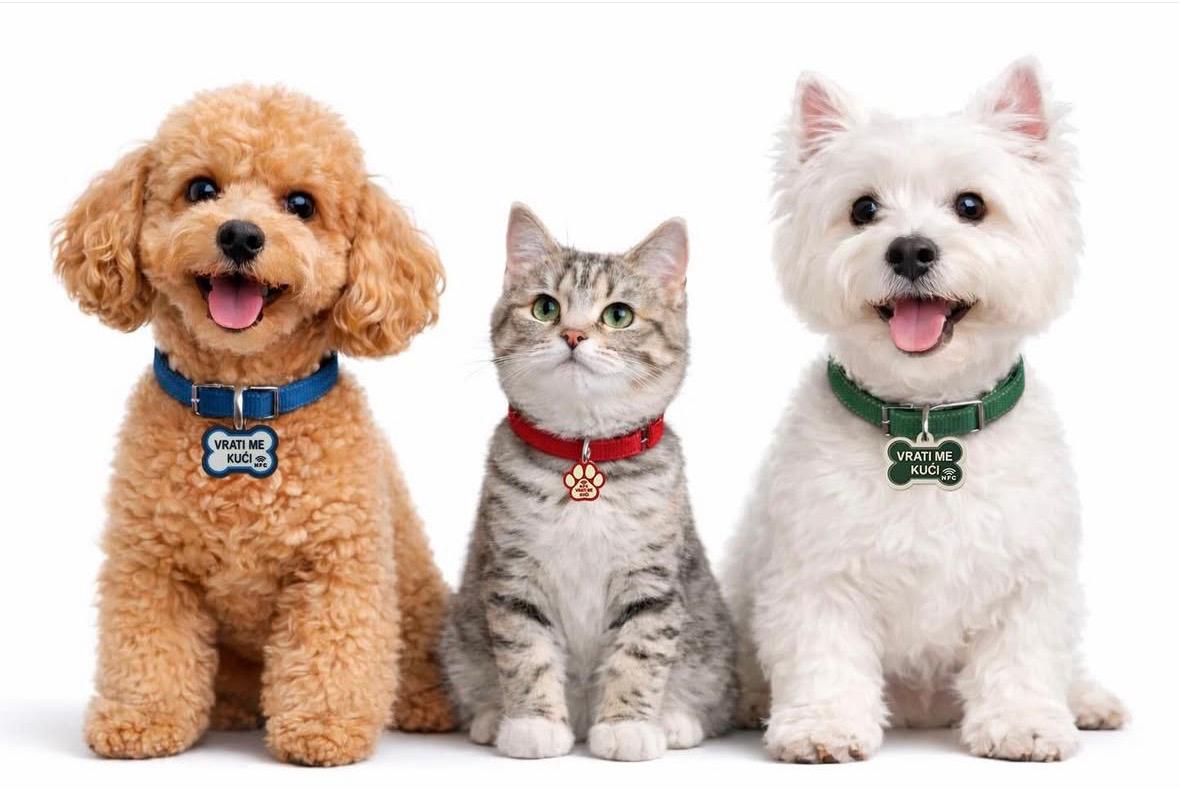 Pets wearing SafeTag